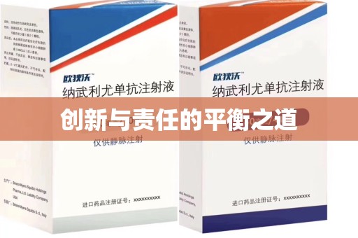 株洲创新与责任的平衡之道