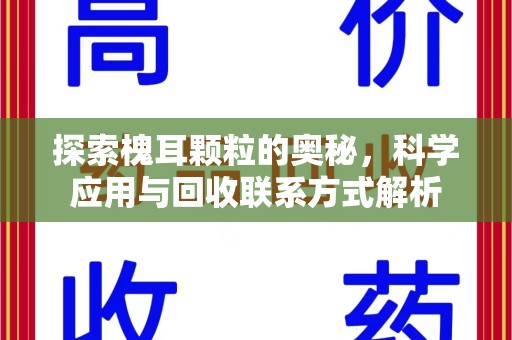 株洲探索槐耳颗粒的奥秘，科学应用与回收联系方式解析