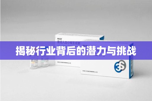 株洲揭秘行业背后的潜力与挑战