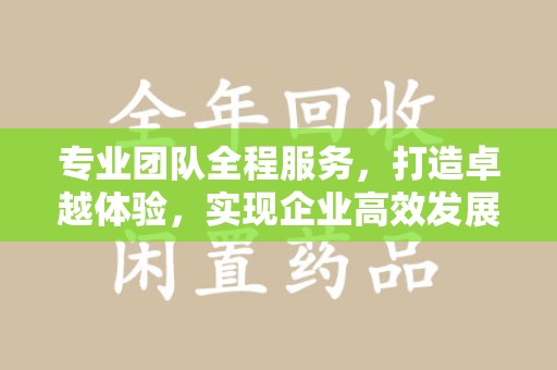 株洲专业团队全程服务，打造卓越体验，实现企业高效发展