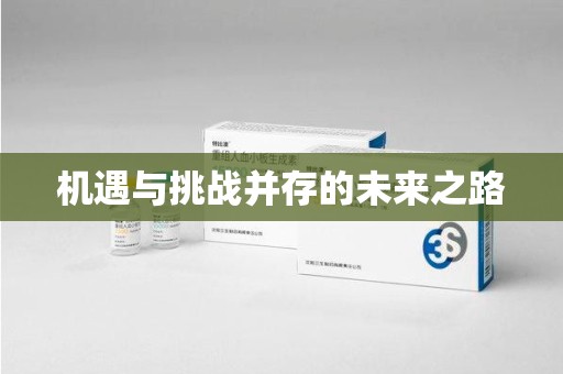 株洲机遇与挑战并存的未来之路
