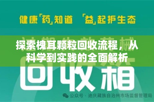 株洲探索槐耳颗粒回收流程，从科学到实践的全面解析