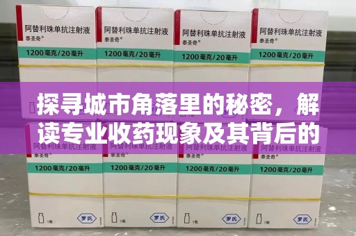 株洲探寻城市角落里的秘密，解读专业收药现象及其背后的故事