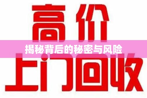 株洲揭秘背后的秘密与风险
